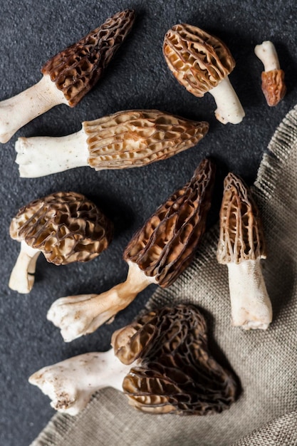 Cogumelos morel closeup em fundo preto