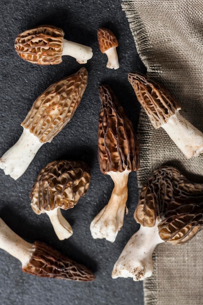 Cogumelos morel closeup em fundo preto