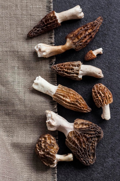 Cogumelos Morel closeup em fundo preto