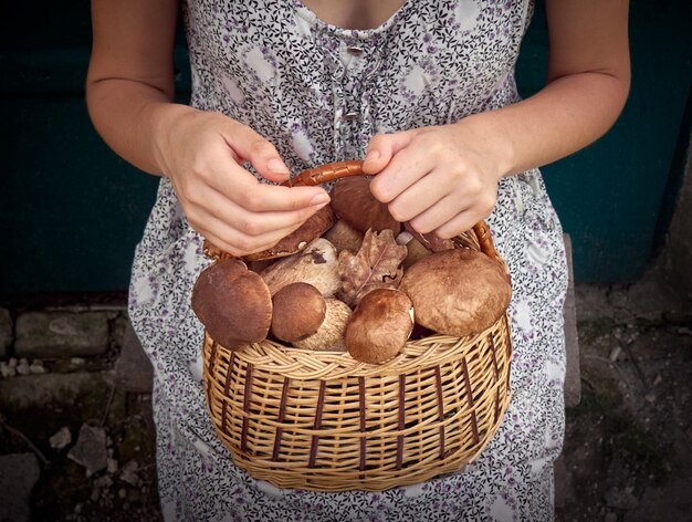 Cogumelos na cesta.