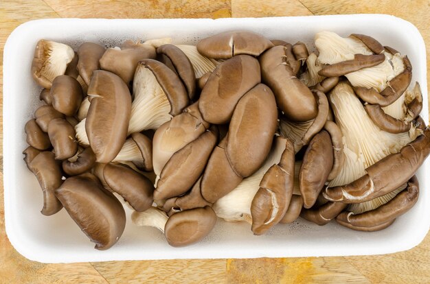 Foto cogumelos ostra frescos cultivados de cinza para a culinária. foto do estúdio.