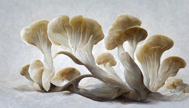 Cogumelos ostra rei eringi em fundo branco Generative Ai