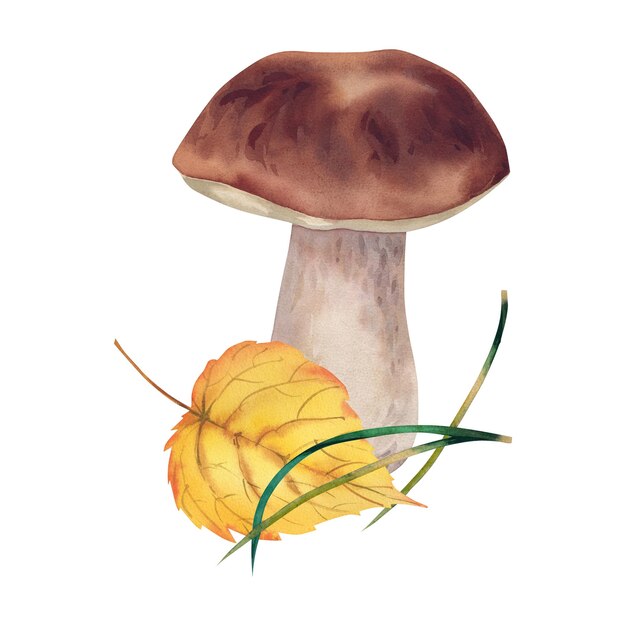 Cogumelos Porcini com folhas de outono Ilustração em aquarela Plantas florestais Composição de outono