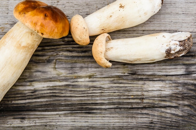 Cogumelos porcini recém colhidos em uma mesa de madeira rústica. Vista do topo