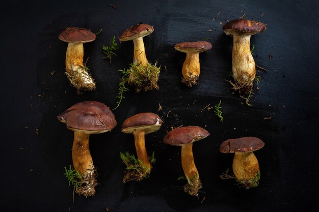Cogumelos selvagens da floresta prontos para cozinhar em fundo escuro. Vista de cima.