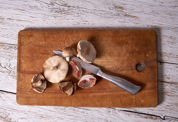Cogumelos selvagens forrageados e faca em uma tábua de madeira