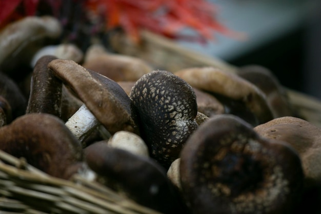 Cogumelos Shiitake japoneses cozinharam molho de tomate em uma barraca de comida de rua em Tóquio