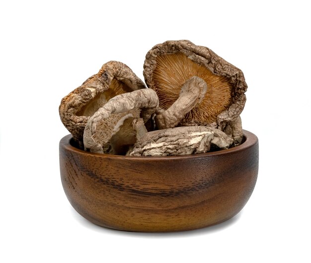 cogumelos shiitake secos com tigela de madeira isolada em fundo branco