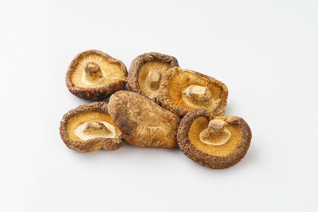 Cogumelos shiitake secos em fundo monocromático