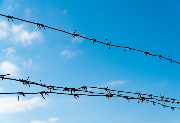 Coiled Stacheldrahtzäune vor blauem Himmelshintergrund. Konzept von Grenze, Gefängnis, Krieg