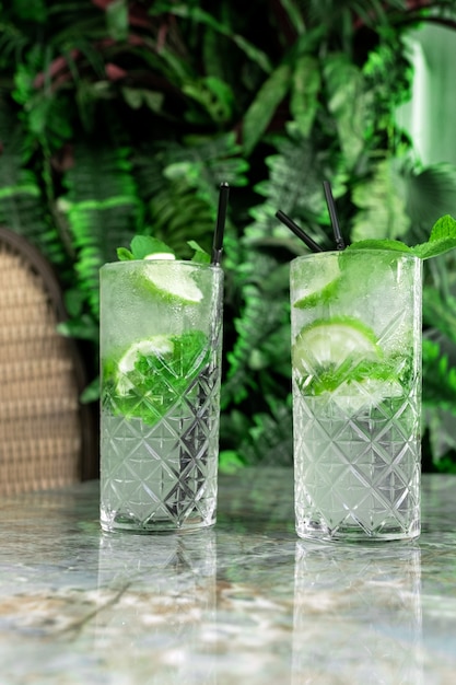 Coktail Gin Tonic oder Mojito im Glas mit Minze, Eis, Limette auf dem Hintergrund der tropischen Blätter.