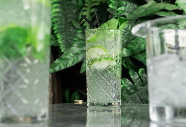 Coktail Gin Tonic oder Mojito im Glas mit Minze, Eis, Limette auf dem Hintergrund der tropischen Blätter.