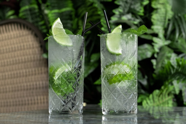 Coktail Gin Tonic ou Mojito em copo com hortelã, gelo, limão no fundo de folhas tropicais.