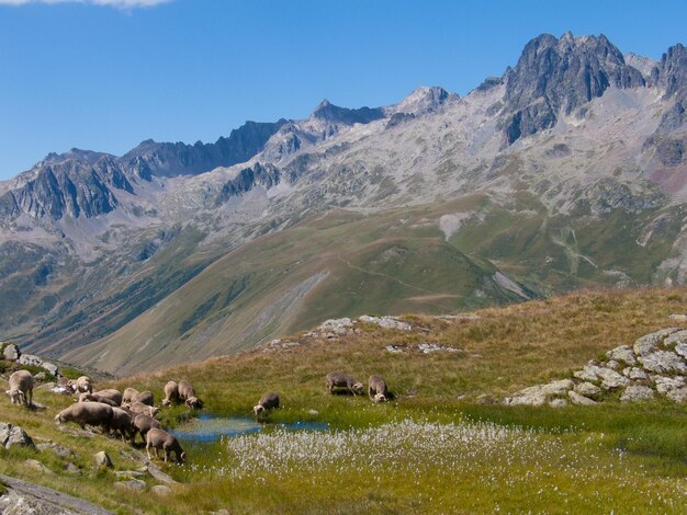 col de bellardhaute savoiefrance