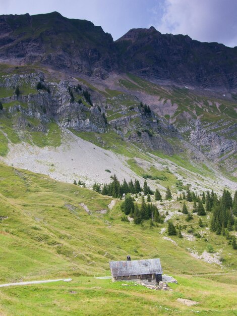 Col de niardsavoiefrancia