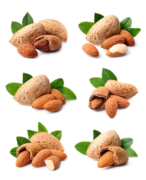 Colage de almendras y nueces