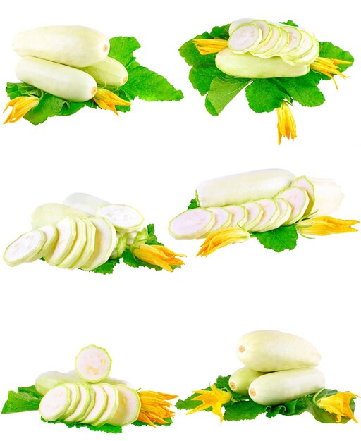 Colagem (coleção) de medula de vegetal fresca com folhagem verde sobre fundo branco. Isolado sobre o branco