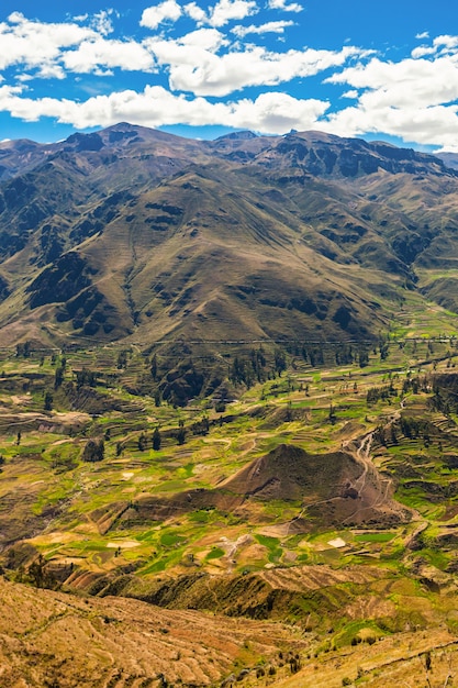 Colca Valley, Peru