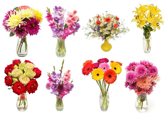 Coleção de buquês flores gerbera delphinium dália gladiolus rosa papoula lírio em vasos isolados no fundo branco Vista superior plana leiga