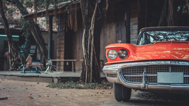 Foto coleção de carros antigos