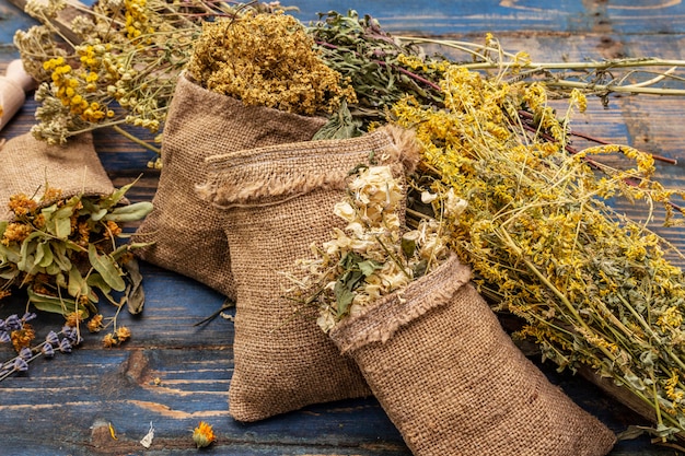 Coleção de colheita de ervas e buquês de ervas selvagens. Medicina alternativa. Farmácia natural, conceito de autocuidado