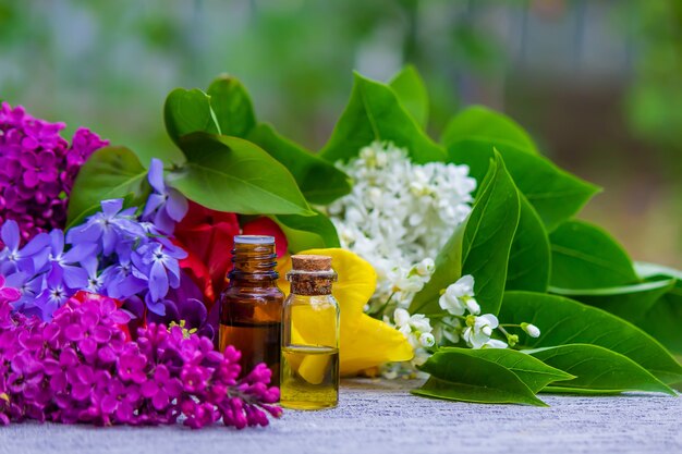 Coleção de flores e óleo essencial de flores