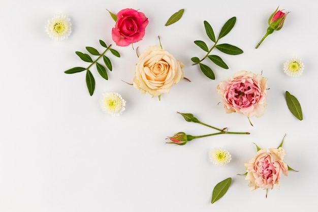 Coleção de flores na mesa