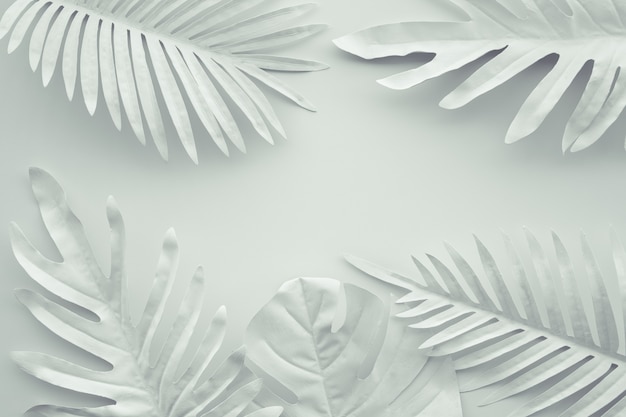 Coleção de folhas tropicais, planta de folha em branco, camada plana