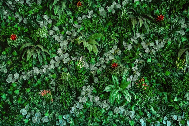 Foto coleção de folhas verdes na parede para decoração em uma cafeteria fundo de plantas da natureza verde