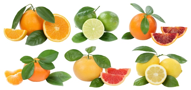Coleção de frutas laranjas tangerina limão toranja isolada em branco