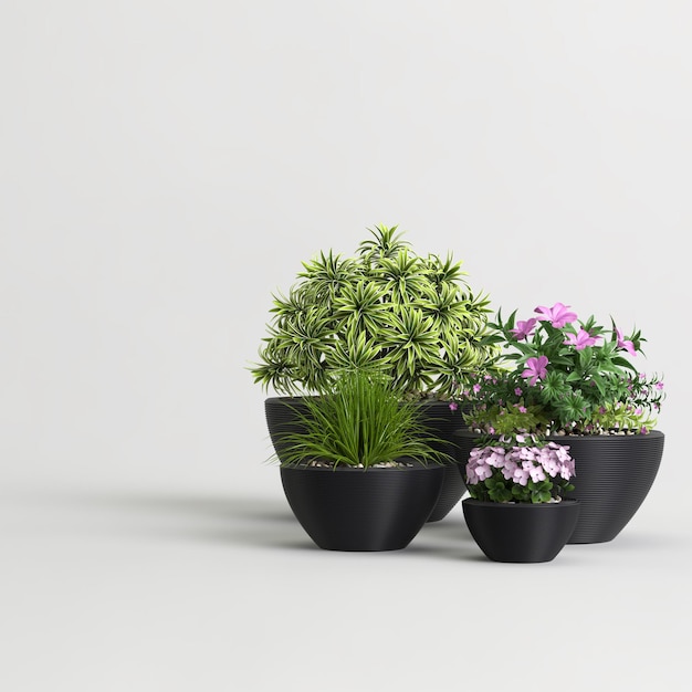 Coleção de plantas em vaso isolada na luz de fundo