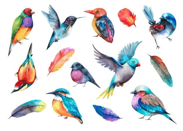 Coleção em aquarela de pássaros. Vários pássaros coloridos em um fundo branco