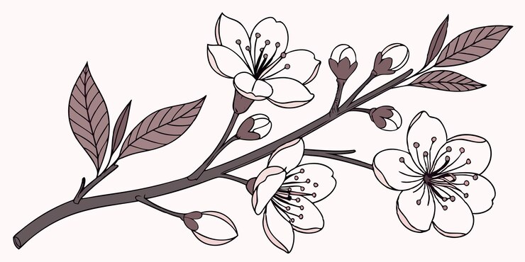 Foto colecção de flores de primavera
