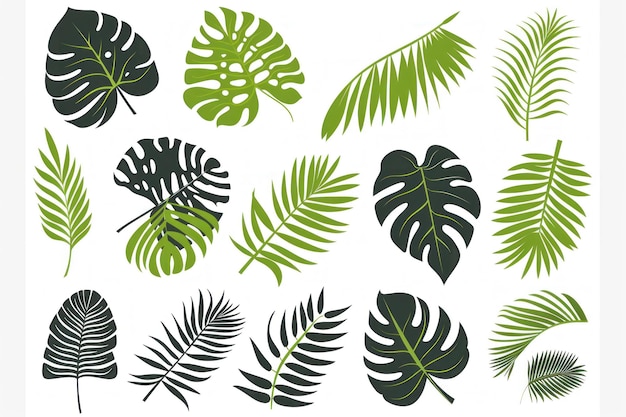 Colecção vetorial de folhas tropicais monstera e folhas de palmeira em várias formas perfeitas para projetos de design Generative ai