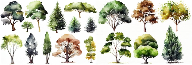 Colección de árboles de acuarela Conjunto de árboles dibujados a mano Paquete de árboles forestales Ai generativo