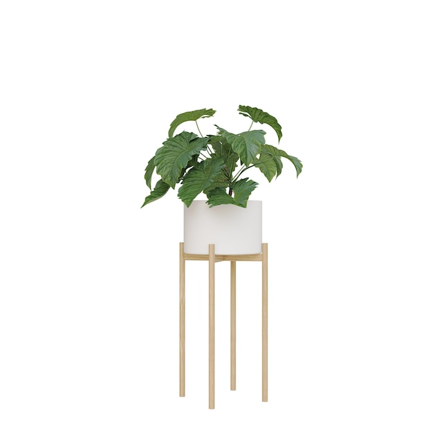 Colección de árboles de modelos de renderización 3D