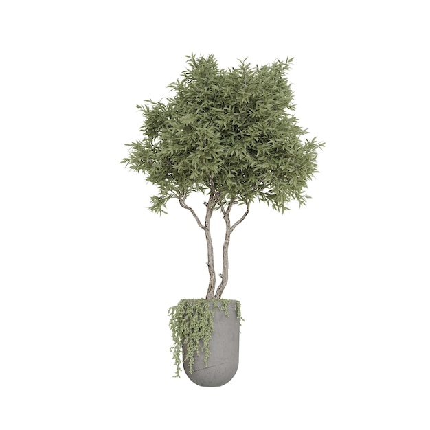 Colección de árboles de modelos de renderización 3D