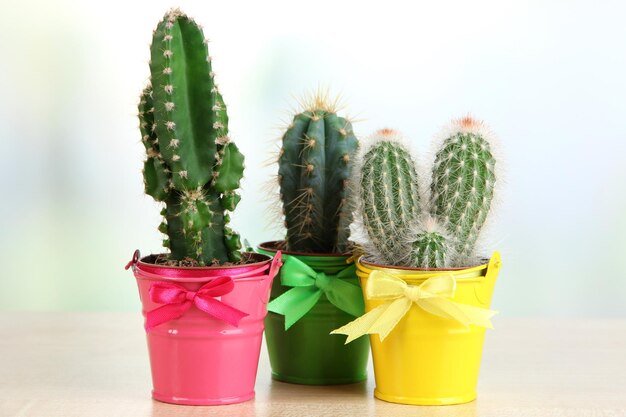 Colección de cactus en cubos brillantes sobre mesa de madera