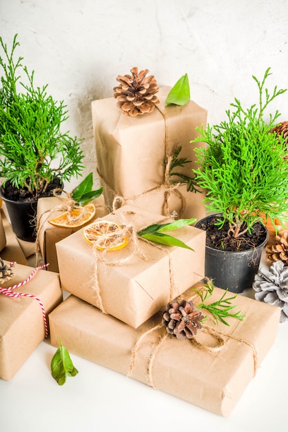 Colección de cajas de regalo de navidad con decoraciones rústicas naturales.