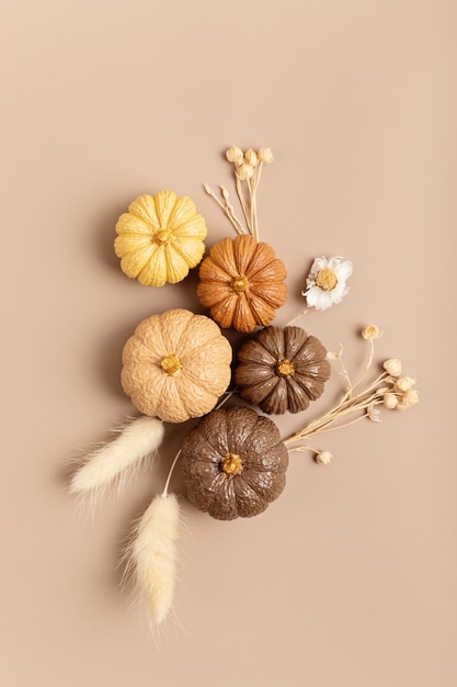 Colección de calabazas de yeso artesanales. Fondo de vacaciones de temporada de otoño en colores naturales. Calabazas artesanales de bricolaje para helloween, acción de gracias, decoración de otoño