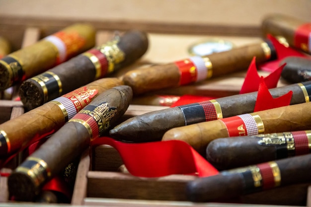 Colección de cigarros nicaragüenses en detalle Cigarros "Perceveranciaquot"