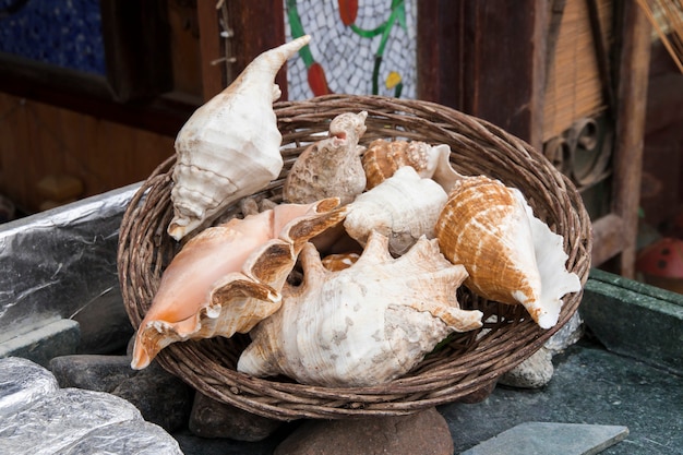 Colección de conchas marinas en una canasta de mimbre sobre una mesa de piedra