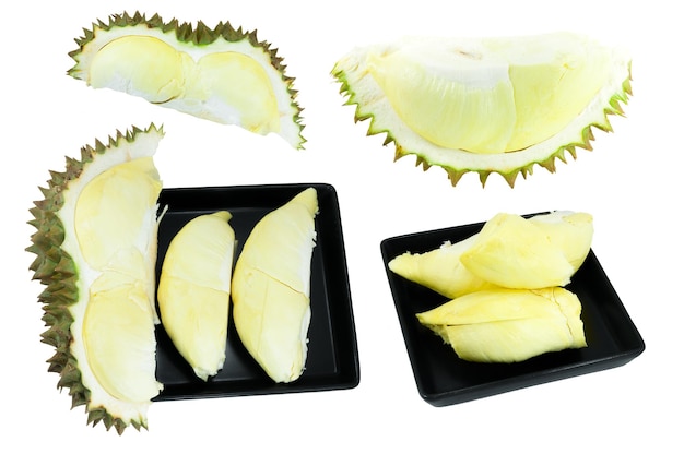 Colección durian el rey de las frutas aisladas sobre fondo blanco durian es una fruta maloliente