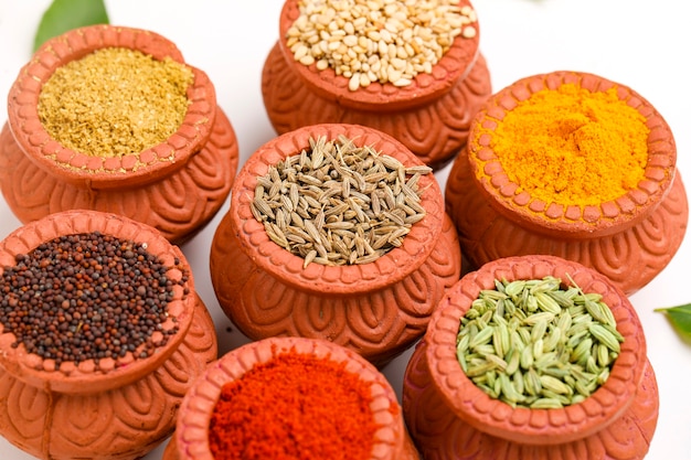 Colección de especias indias, condimentos secos de colores, nueces, vainas y semillas y otras especias en cuencos de arcilla.