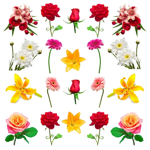 Colección de flores aisladas sobre fondo blanco. Florística, ramos de flores, regalo de boda. Vista plana endecha, superior. San Valentín, amor. Flores rosas, margaritas, gerberas, lirios