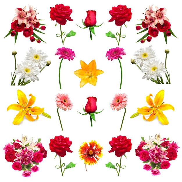 Colección de flores aisladas sobre fondo blanco. Florística, ramos de flores, regalo de boda. Vista plana endecha, superior. San Valentín, amor. Flores rosas, margaritas, gerberas, lirios