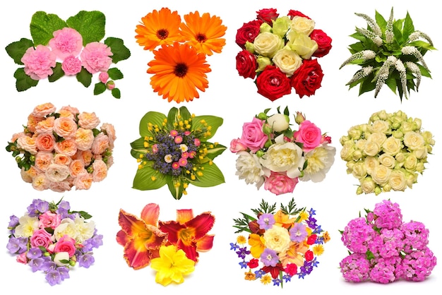 Colección de flores caléndula malva rosas margaritas lirios peonías espuela de caballero y otros aislados sobre fondo blanco Establecer collage amor Objeto de patrón floral Vista plana superior