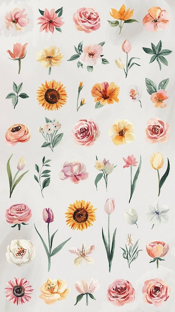 una colección de flores por persona
