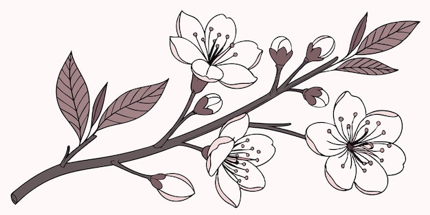 Colección de flores de primavera