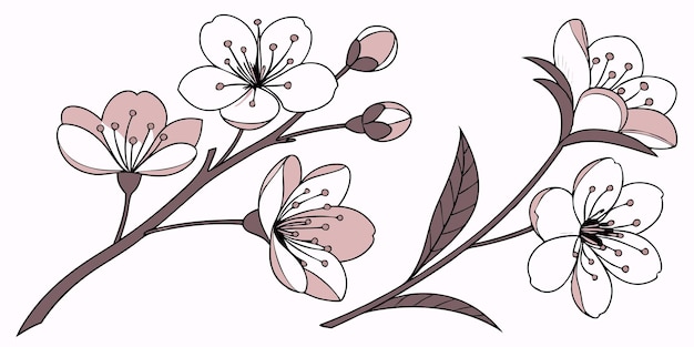 Colección de flores de primavera